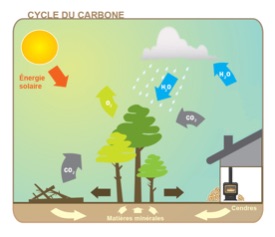 FAQ_Biomasa_y_Calefactores_a_Pellet